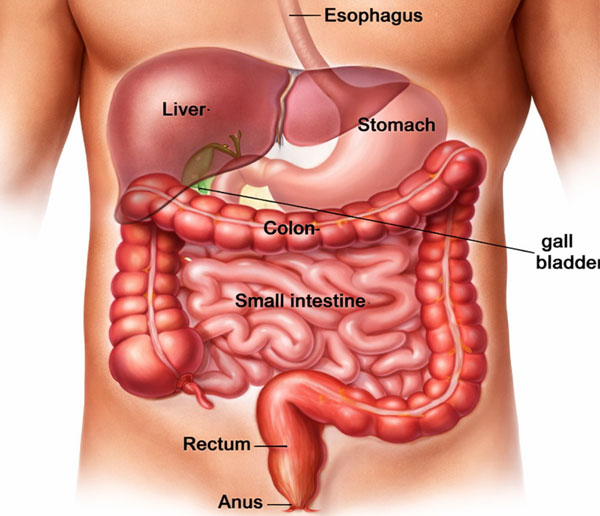 Best GI & HPB Surgeon in Navi Mumbai & Vashi