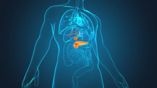 gall bladder surgeon